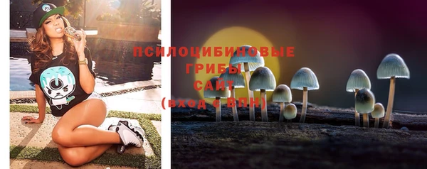 прущий лед Дмитров