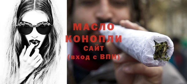 амф Дмитриев