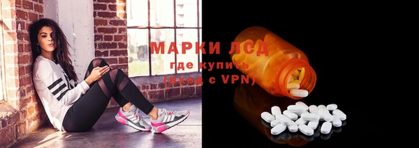 амф Дмитриев