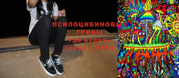 амф Дмитриев