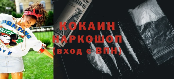 амф Дмитриев