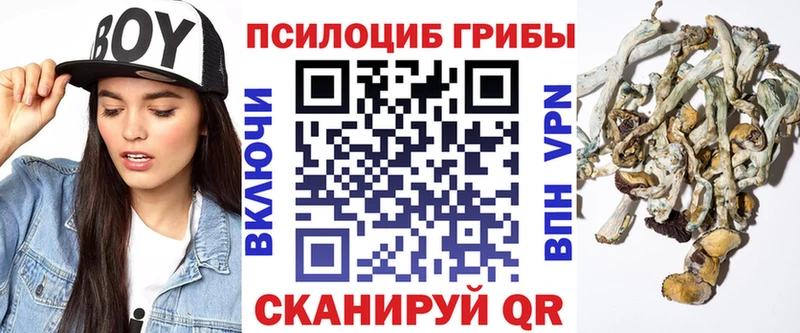 наркошоп  Заполярный  Галлюциногенные грибы мухоморы 